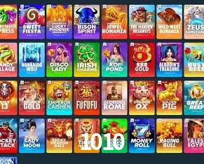 Plataforma Premium 1010